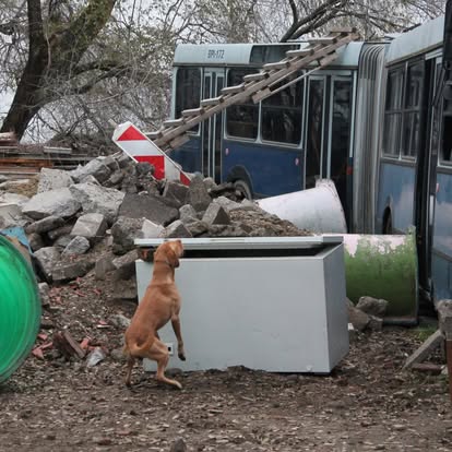 Scenariu de căutare în dărâmături