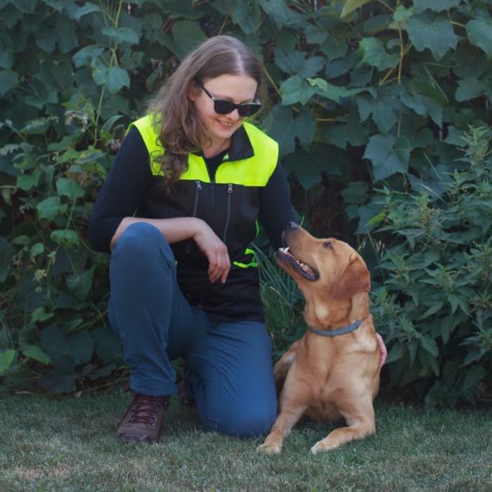 Tobi, câine certificat RH-FL B