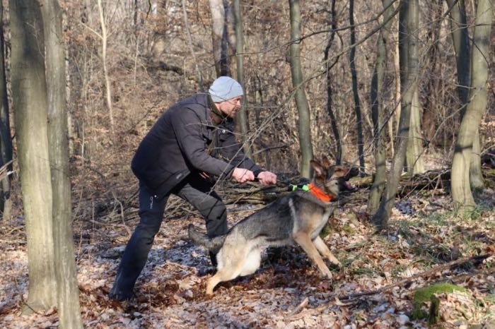 Tzushka · antrenament căutare în pădure